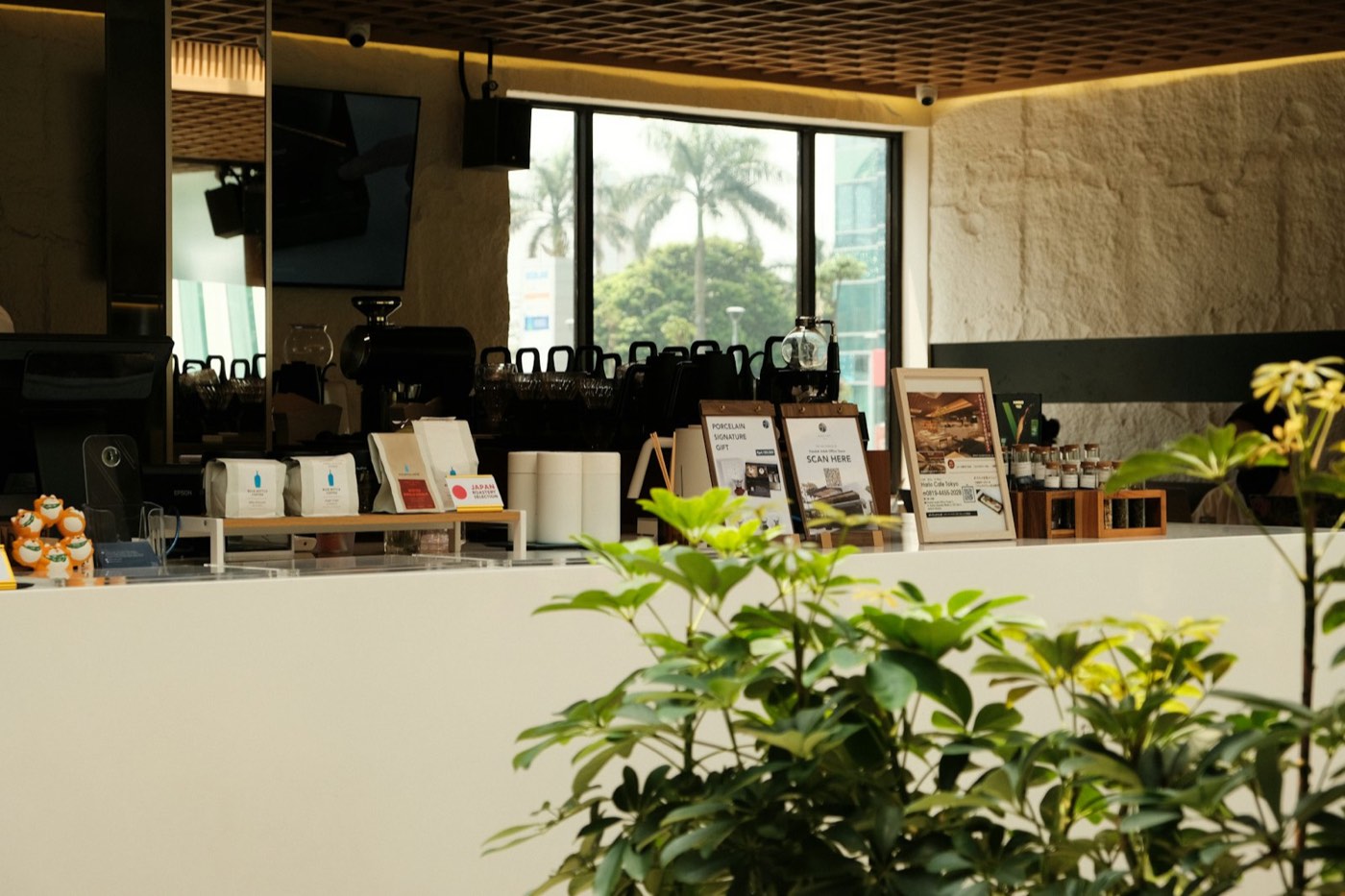 Counter of a modern café with plants, ready to serve regular customers