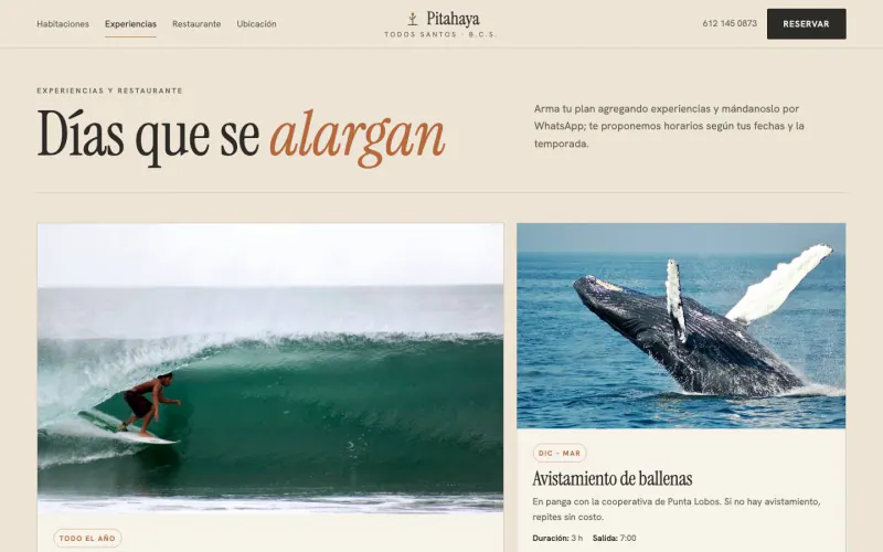 Experiences and restaurant page of the boutique hotel template