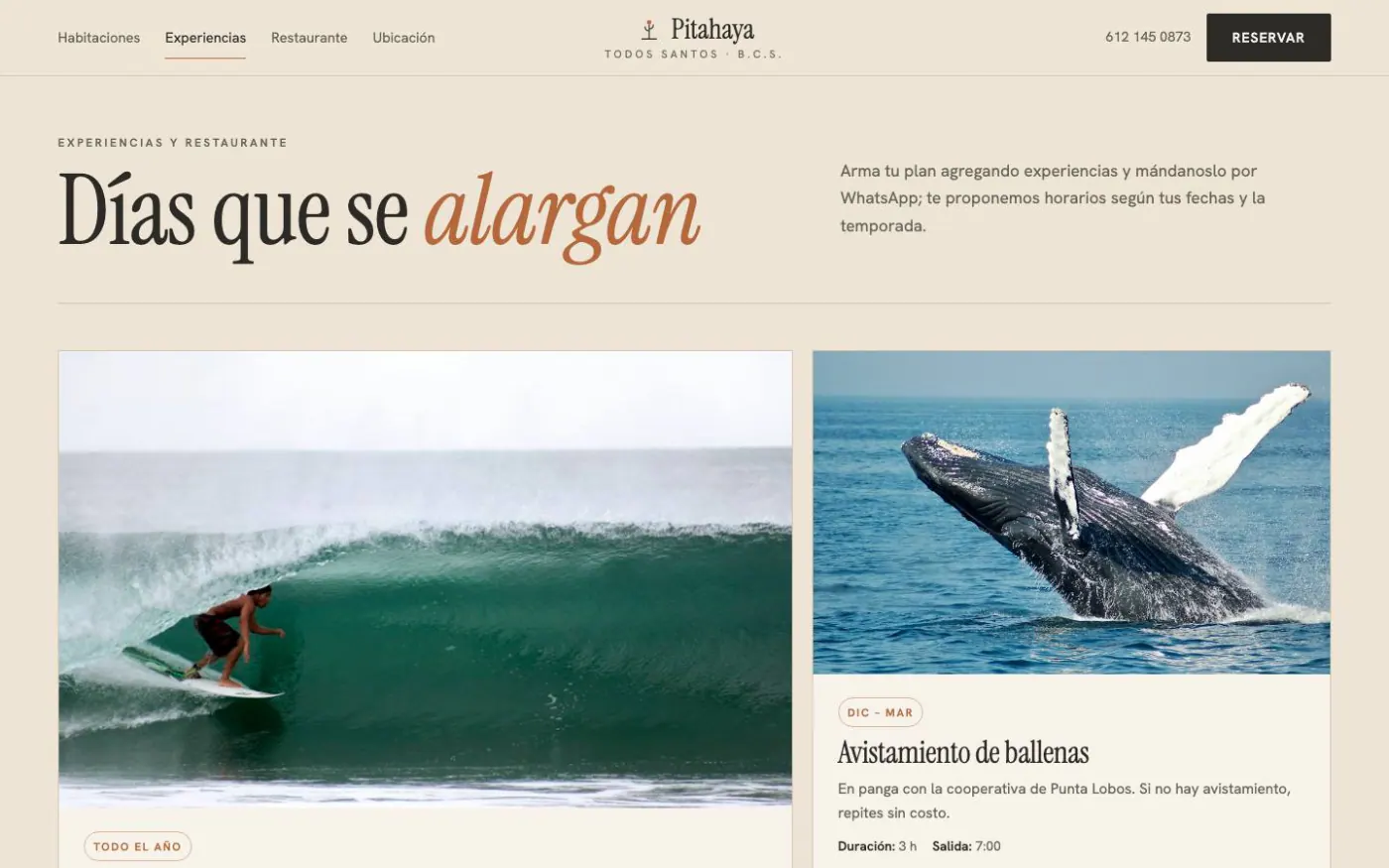 Experiences and restaurant page of the Hotel Pitahaya demo on desktop