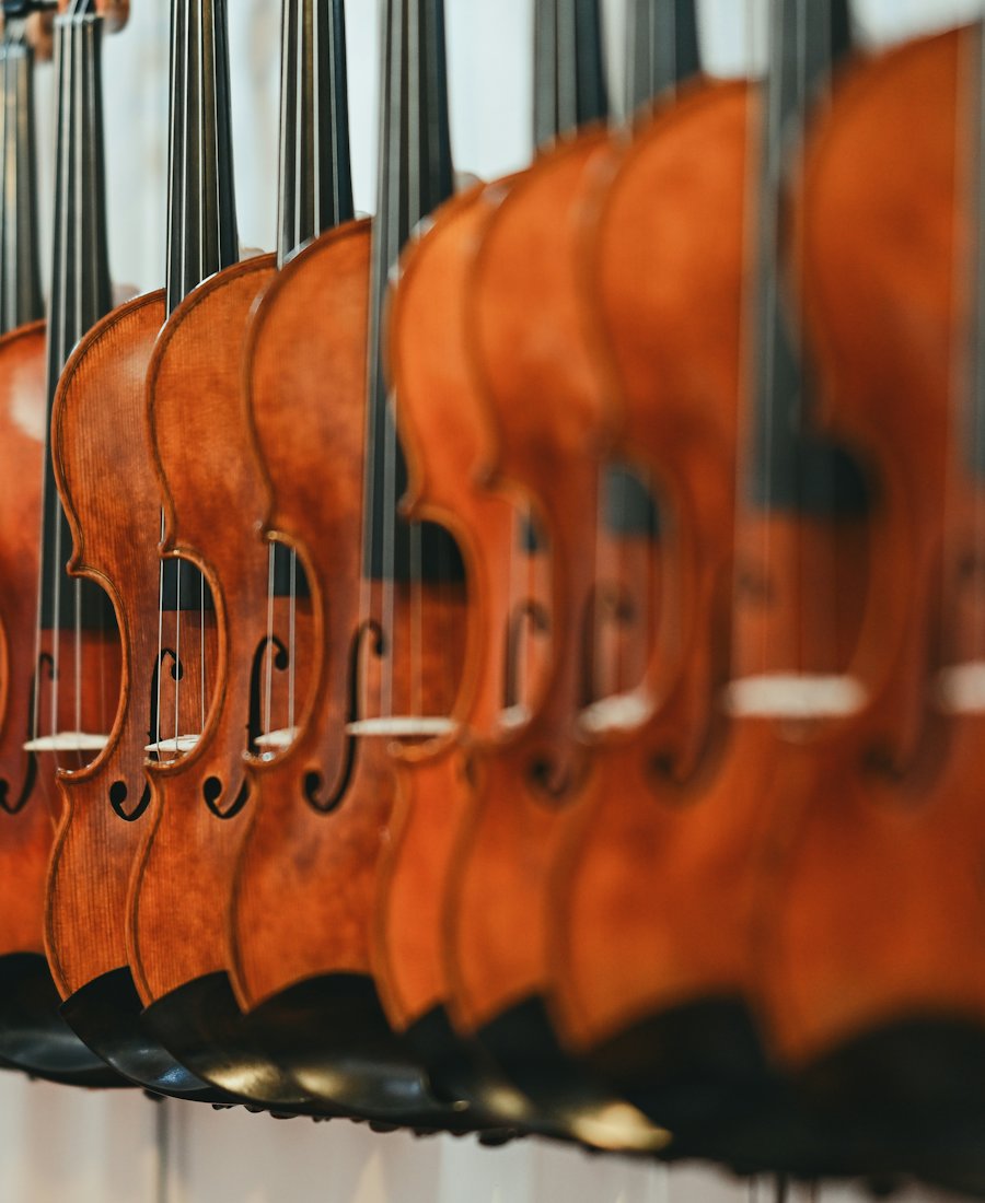 Hilera de violines colgados en el taller de música
