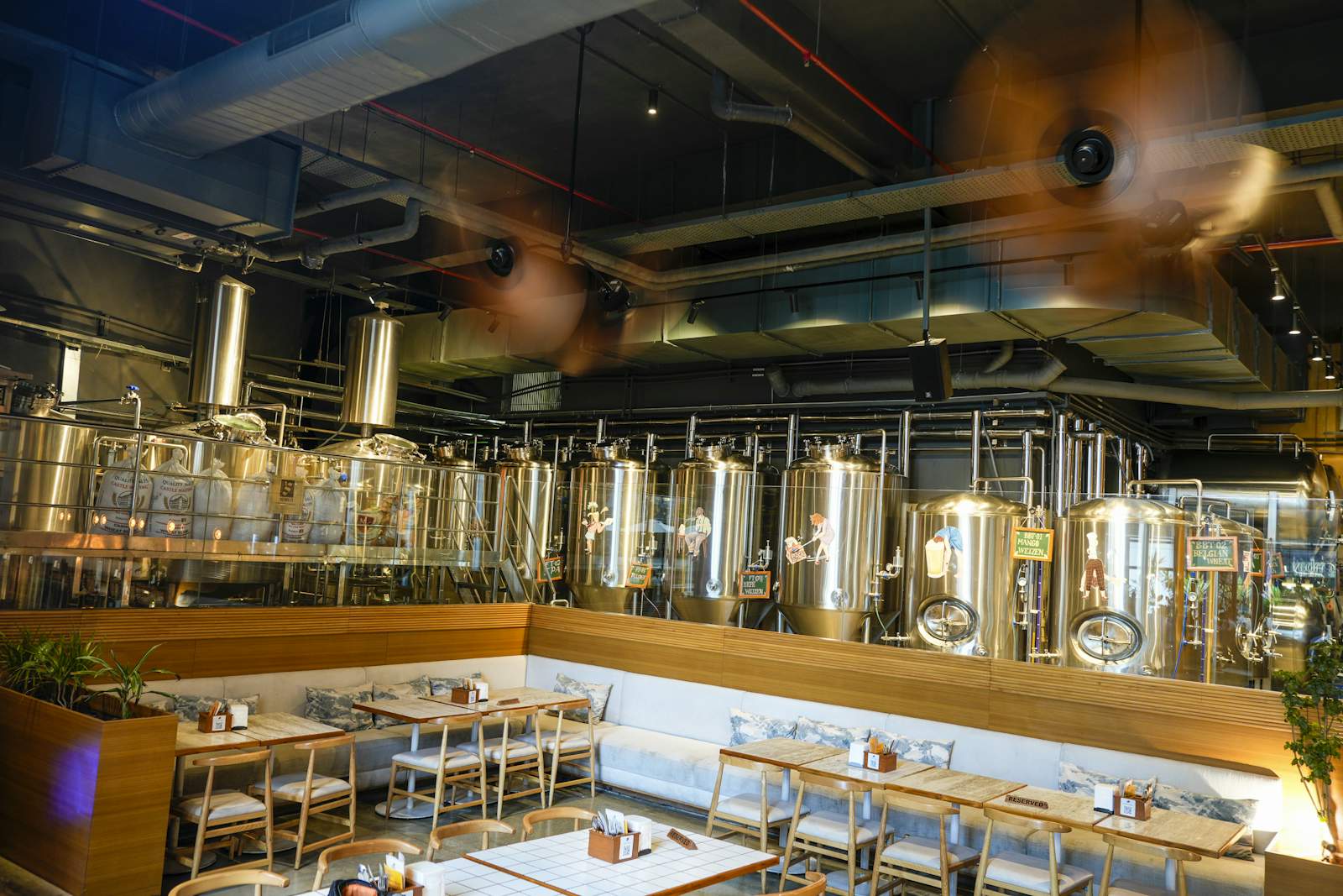 Cervecería Médano — Beverages